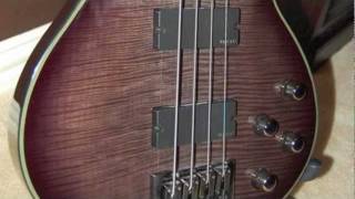 Schecter Damien Solo Elite Bass With EMG HZ Pickups [upl. by Wesley]