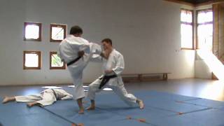 Heian Sandan Bunkai [upl. by Myron]