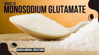 What Is Monosodium glutamate  Small Infomative Video  Ajinomoto [upl. by Sadirah]