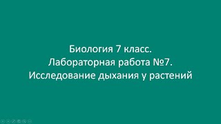 Биология 7 класс Лабораторная работа №7 Исследование дыхания у растений [upl. by Yeslehc999]