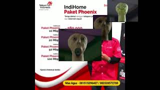 Paket Creature Yelleix YTPMV [upl. by Ailel]