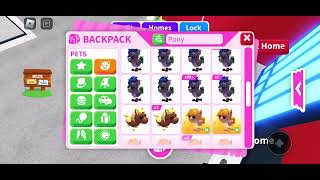 Use the script in comments to dupe all your pets I duped all of my pony’s adoptmescript roblox [upl. by Sierra690]