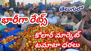 18092024 kolar tomato market ratetoday Kolar tomato market price kolartomatomarkettomato [upl. by Gregrory]