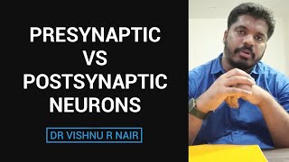 Presynaptic vs Postsynaptic neurons  docvishnu [upl. by Friede]