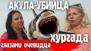 АКУЛАУБИЙЦА ХУРГАДА ГЛАЗАМИ ОЧЕВИДЦА 🇪🇬 KILLER SHARK HURGHADA THROUGH THE EYES OF AN EYEWITNESS [upl. by Nitsid]