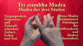 Heilsame Mudras [upl. by Ahseei]