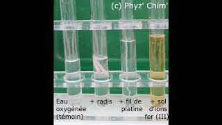 Catalyse de la dismutation du peroxyde dhydrogène [upl. by Gerda]