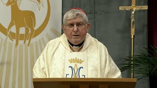 Catholic Mass Today  Daily TV Mass Friday October 25 2024 [upl. by Zoldi]