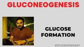 Gluconeogenesis Regulation of Gluconeogenesis Glucose Formation from noncarbohydrates Precursor [upl. by Ettore92]