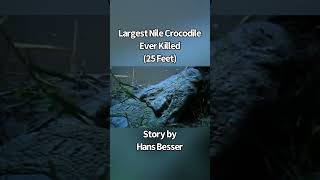 Largest Nile Crocodile Killed 25 Feet [upl. by Gaspar]