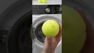 Put 3 tenis BALLS into the DRYER [upl. by Anaeel226]