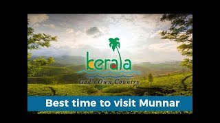 Best time to visit Munnar [upl. by Yor710]