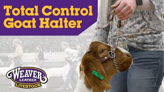 Total Control Goat Halter by Weaver Livestock [upl. by Eirtemed]