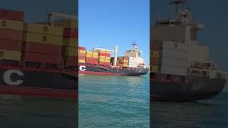 Welcome Msc 🚢😲  ytshorts shorts shortvideo [upl. by Nedarb721]