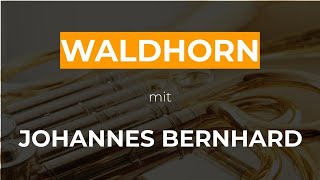 Waldhorn spielen lernen mit Johannes Bernhard  JETZT ONLINE ANMELDEN [upl. by Thordis]