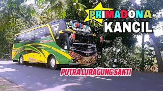 Pelari viral Putra Luragung PRIMADONA KANCIL edisi knalpot Suosss [upl. by Jillie]