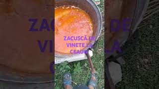 ZACUSCĂ DE VINETE LA CEAUNGARDENFOODCOOKING [upl. by Ocinom105]