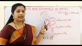 NEET Breathing And Exchange of Gases Part3 Malayalam Exchange of gases [upl. by Arama]