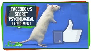 Facebooks Secret Psychological Experiment [upl. by Ille]