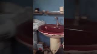 Hardware and sanitary Fixers tap basing design and price vlog shopreview sanitaryware shorts [upl. by Surazal462]