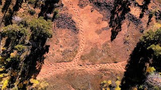 Fly Over The Worlds Longest Set Of Continuous Dinosaur Tracks [upl. by Ollehto602]