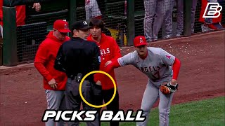 MLB  Funny Bloopers  Oddities [upl. by Ezekiel888]