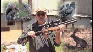 Airgun Pest Control with a Compact Folding Stock Rifle [upl. by Nalyad]