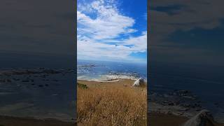 Kaikoura Peninsula Walkway Whalers Bay New Zealand [upl. by Robers]