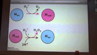 32 Kevin Aherns Biochemistry  ETS and Oxidative Phosphorylation [upl. by Siravart233]