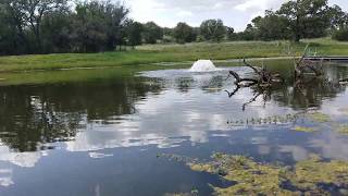 Emergency Pond Aeration [upl. by Kcid695]