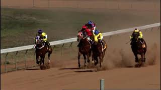 Cobar 19 Aug 2023 race 1 [upl. by Glanville]