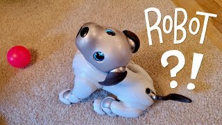 Our New Dog AIBO Pet Replacement Robot [upl. by Eltsyrc]