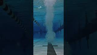 Connor Oslin Backstroke Start [upl. by Ecad]