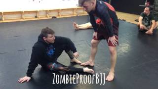 Low Single To Ashi Garami  ZombieProofBJJ NoGi [upl. by Bobina]