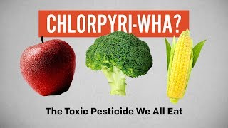 Chlorpyrifos  The Toxic Pesticide We All Eat [upl. by Cardie]