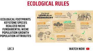 Ecology Lec 3 [upl. by Annayehc988]