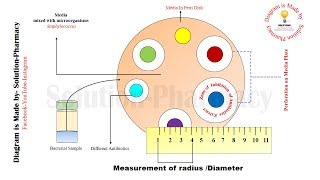 Microbial Assay of Antibiotics  Cup Plate Method of Microbial Assay  Microbial Assay of Antibiotic [upl. by Narba992]