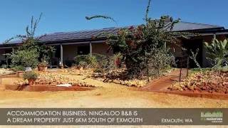 PurposeBuilt Luxury BampB Business for Sale  Exmouth WA [upl. by Nordgren]