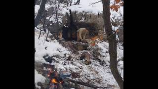 Winter Camping in Stone Shelter on Mountain Top [upl. by Luy]