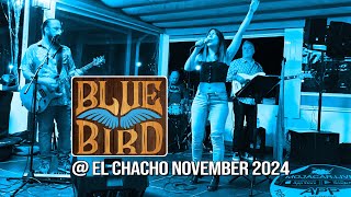 Bluebird El Chacho Nov 2024 [upl. by Menedez]