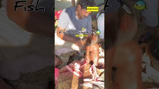 ✨Today ✅Hogenakkal Fish🐟 Market😋 fishcutting viral hogenakkal ontrending shortsfeed [upl. by Kirstyn110]