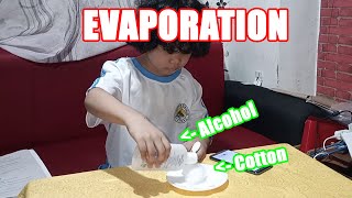 EXPERIMENT 2  EVAPORATION  SCIENCE  PERFORMANCE TASK  GRADE III [upl. by Shanie837]