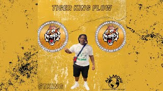 OFFICIAL TIGER KING COIN SONG  Tiger King Flow Tking 1000x Gem [upl. by Yticilef]