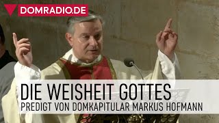 Die Weisheit Gottes – Predigt von Domkapitular Markus Hofmann im Kölner Dom [upl. by Durning]