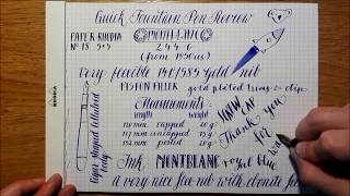 Montblanc 244 G Quick Fountain Pen Review [upl. by Hawkins]