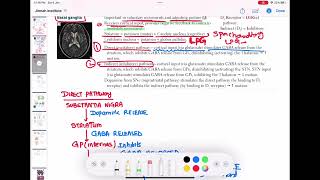 Basal ganglia direct and indirect pathway physiology neurology 36  First Aid USMLE Step 1 [upl. by Ardnael]