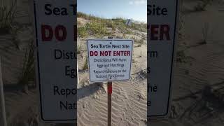 Ocracoke Island NCbeach and campground [upl. by Jansen]