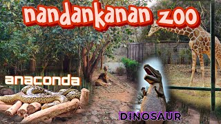 nandankanan  jungle safari 😲 [upl. by Dickson107]