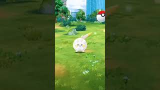 I got shiny togedemaru [upl. by Florette]