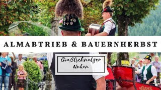 Goaßlschnalzer Unken beim Almabtrieb amp Bauernherbst St Martin b Lofer  2017 [upl. by Hsakiv]